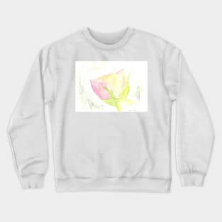 delicacy Crewneck Sweatshirt